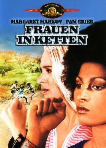 Dvd aus sammlung - sammlung, in